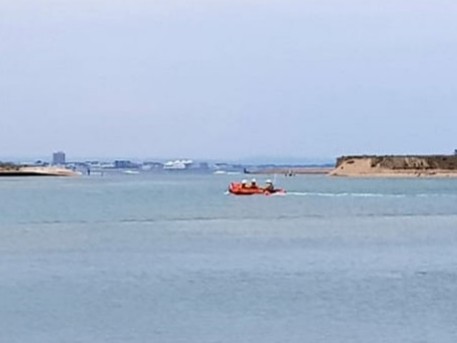 ILB at Pagham Harbour
